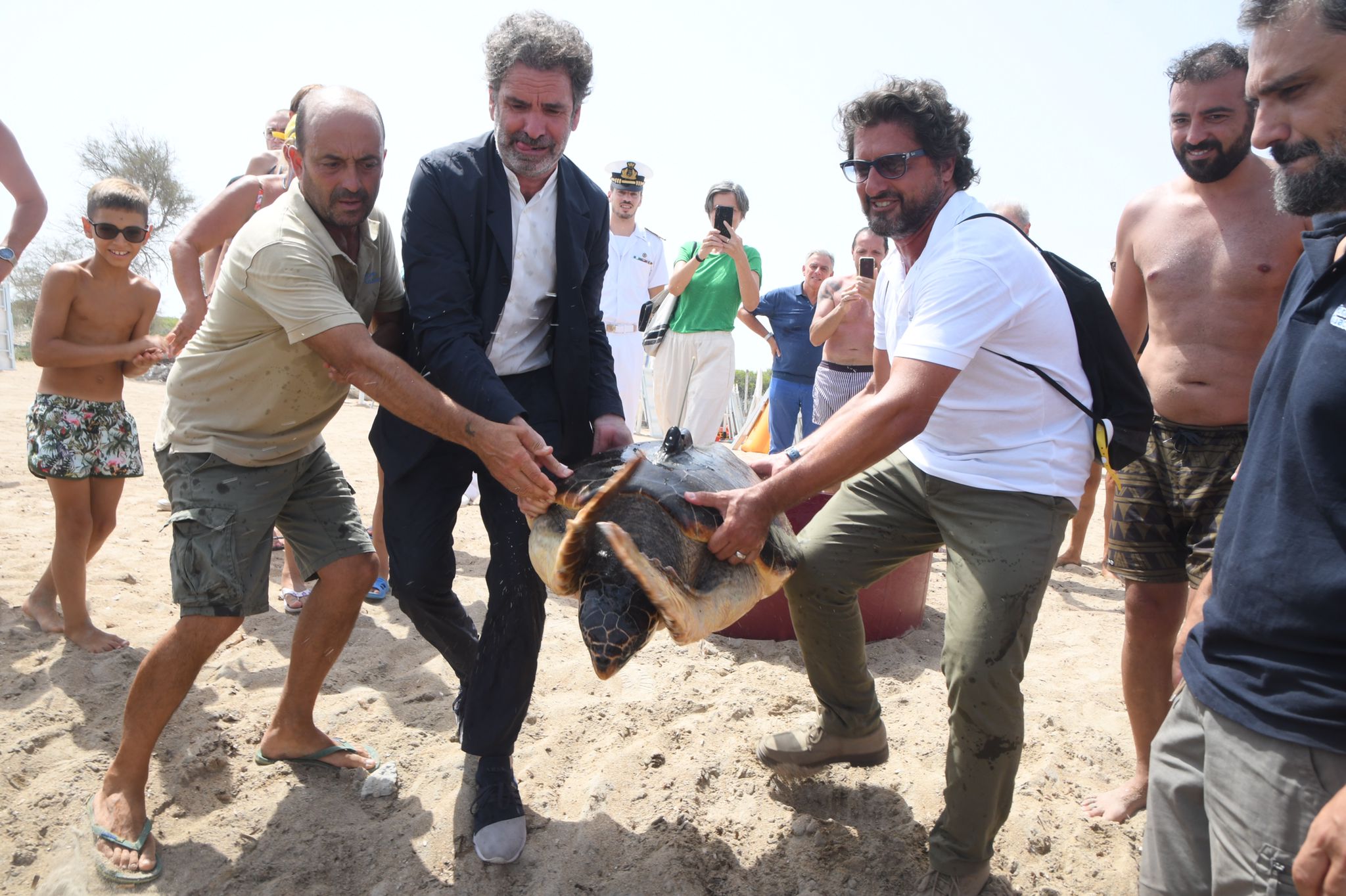 Liberate a Frigole due Caretta caretta