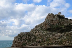 'Questa Reggia non è un albergo!', oggi si parla di 'Incendi, prevenzione e rimboschimento'