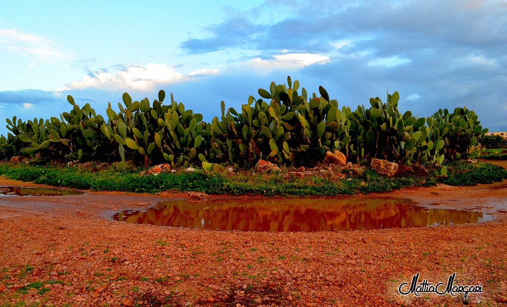 Ancora tre giorni per dire 'mi piace'