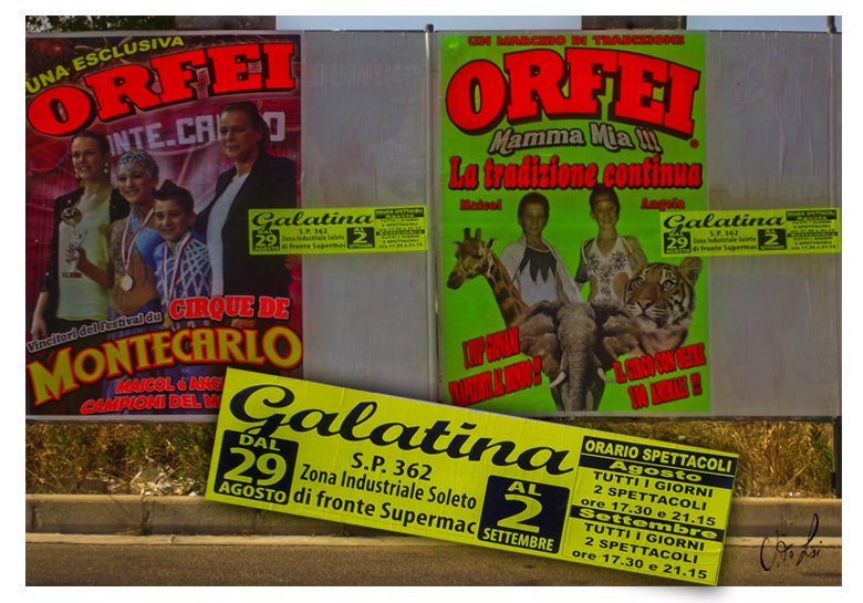 'Circo con animali vietato a Galatina? No problem, lo piazziamo a Soleto... o quasi'