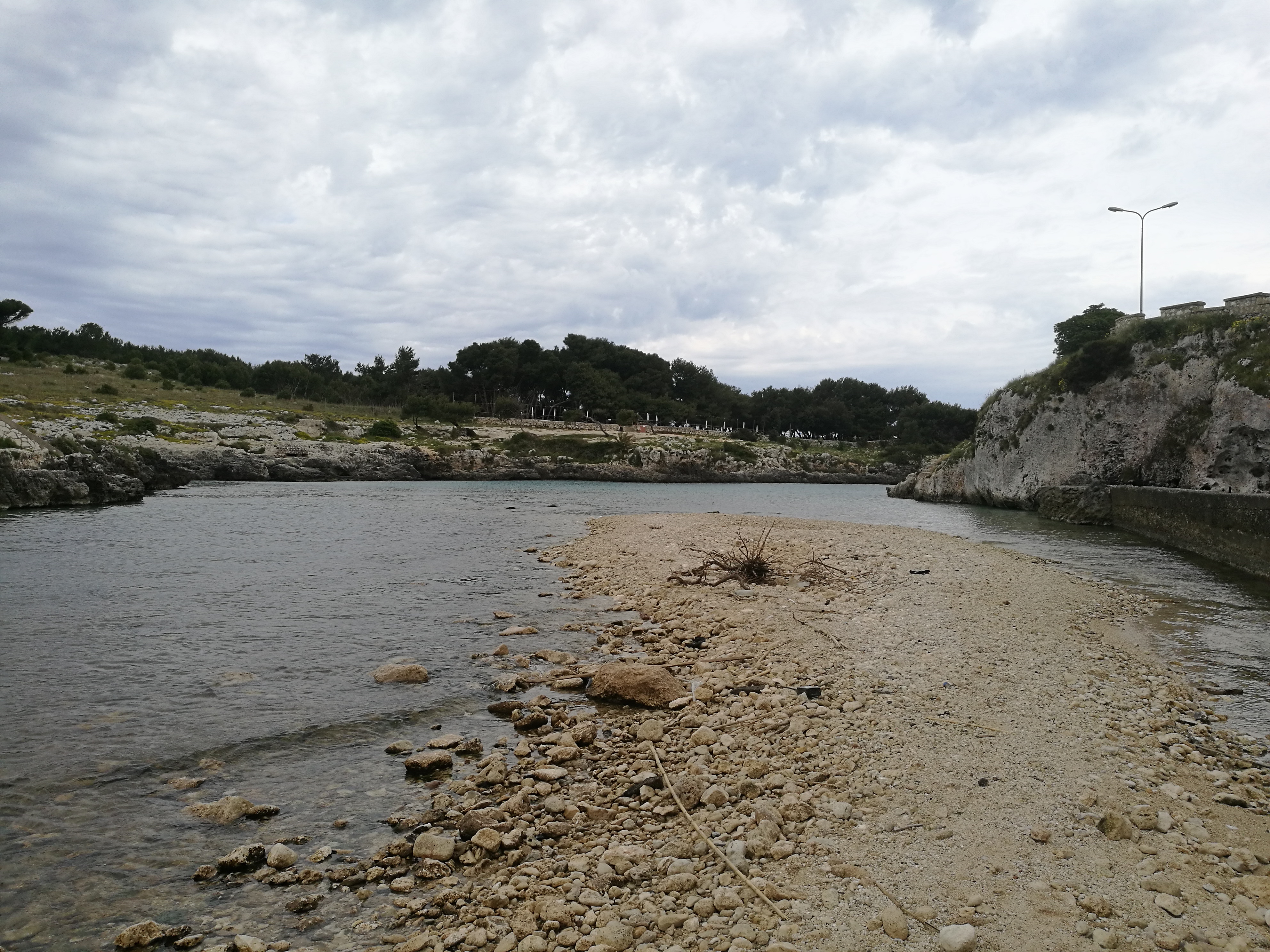 "Coste e mari pugliesi tra biodiversità naturale e ricchezza regionale" "Coste e mari pugliesi tra biodiversità naturale e ricchezza regionale"