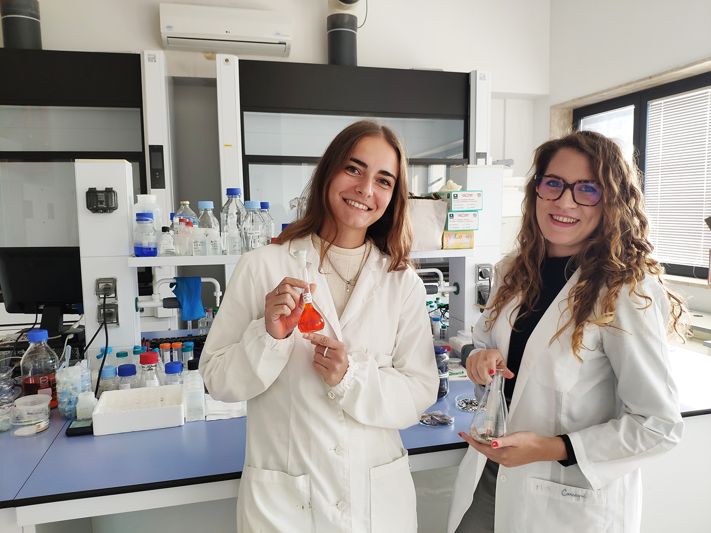 A Lecce due ricerche per valorizzare i gusci di gamberi e quelli dei mitili mediterranei