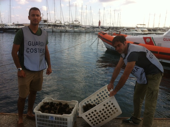 Quattromila euro di multa per aver raccolto 700 ricci di mare
