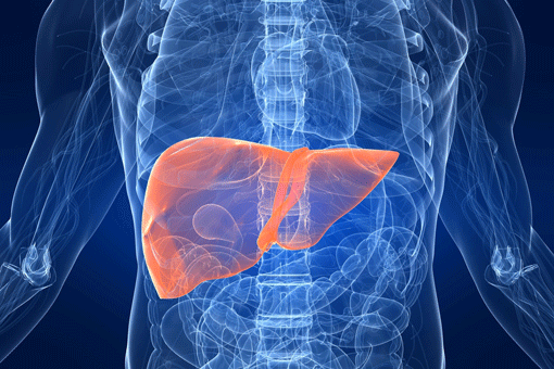 In distribuzione negli Ospedali di Galatina e Lecce i farmaci per la cura dell'epatite C