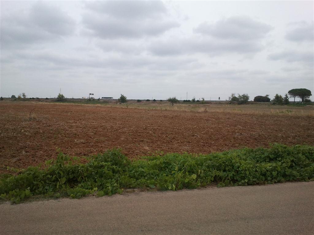 Megaparco, &quot;È questa la vera Contrada Cascioni&quot;