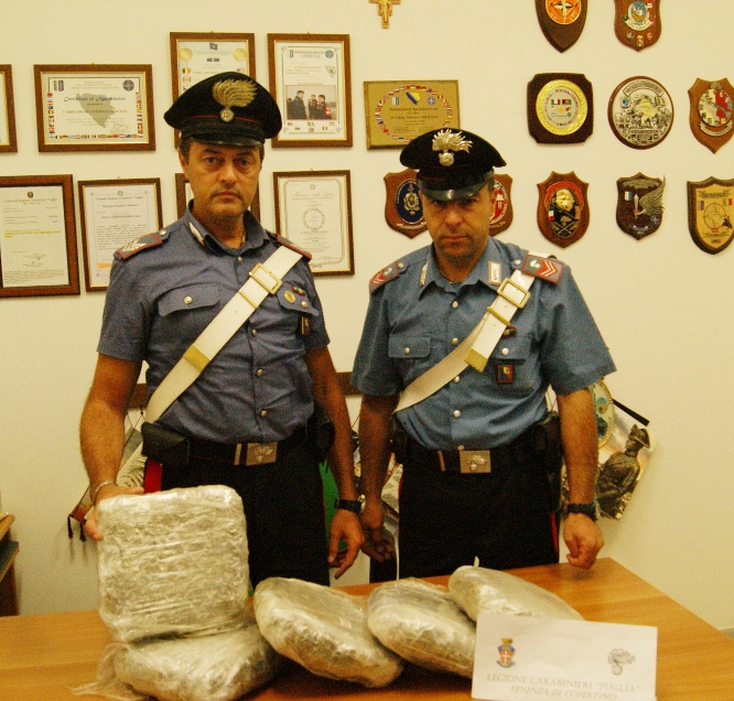 I Carabinieri di Copertino trovano a Santa Barbara sei chilogrammi di marijuana