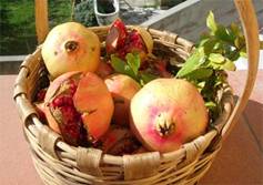  “Lu Paniri te e Site” fino al 13 a Palamariggi