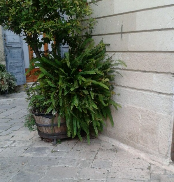 Sparita la panchina di 'Luis', scherzo o inciviltà? Sparita la panchina di 'Luis', scherzo o inciviltà?