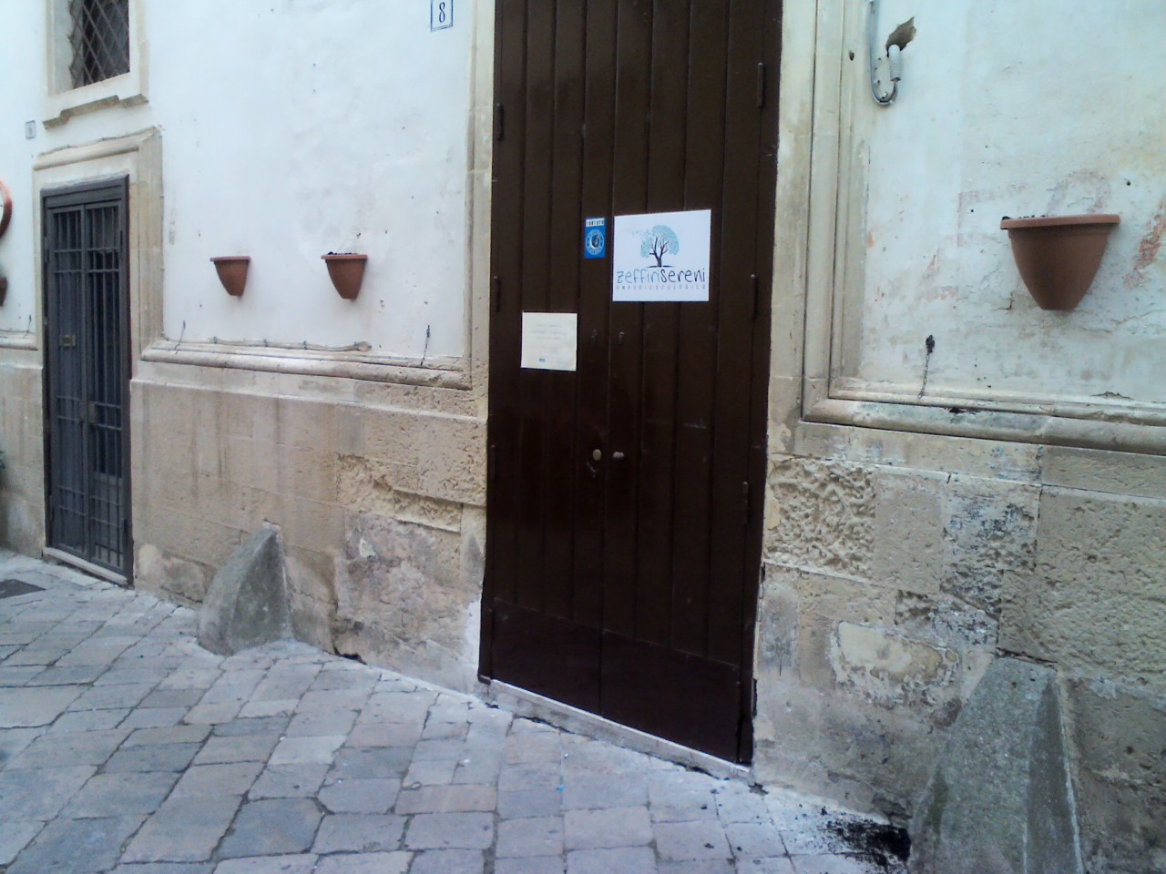 Vandali strappano dal muro le piante in via Robertini