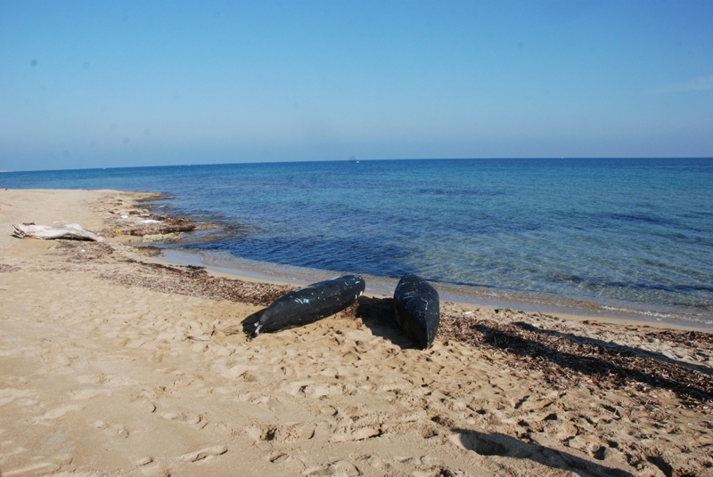 La marijuana viaggia in acquascooter, oltre tre quintali e mezzo recuperati a Torre Veneri