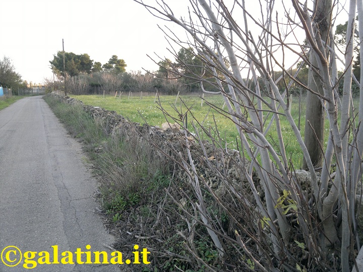 Gli artificieri fanno brillare sul posto due bombe a mano trovate a Galatina