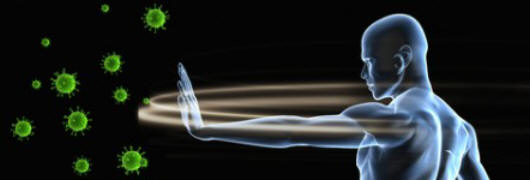 Scoperta l’ereditarietà del sistema immunitario Scoperta l’ereditarietà del sistema immunitario