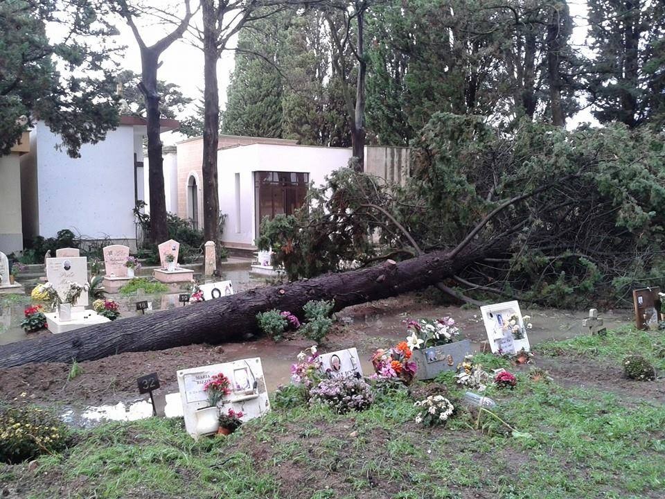 &quot;Poteva andare peggio&quot;. Il Sindaco di Galatone rassicura i suoi concittadini