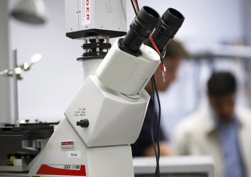 Caratterizzata l’alterazione del metabolismo della sclerosi multipla