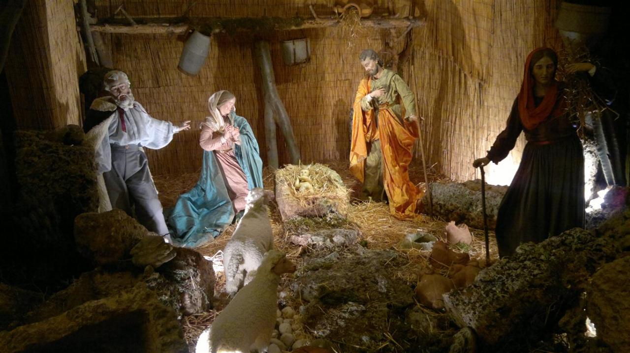 Si stupirono delle cose che i pastori dicevano Si stupirono delle cose che i pastori dicevano