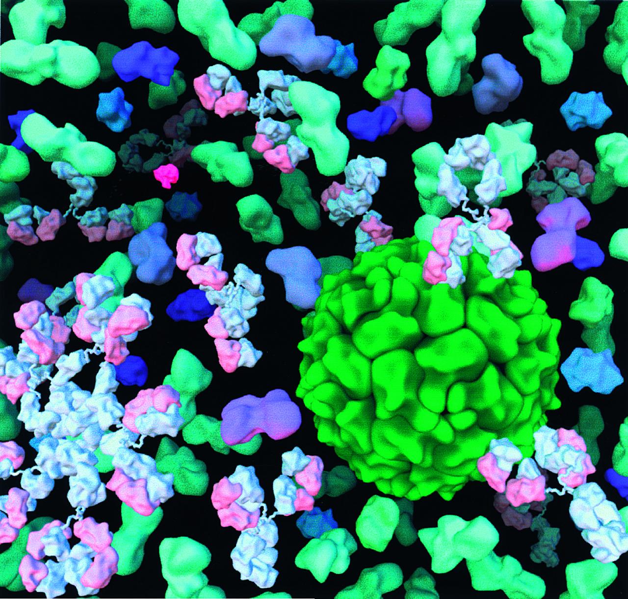 2014 anno internazionale della cristallografia, 