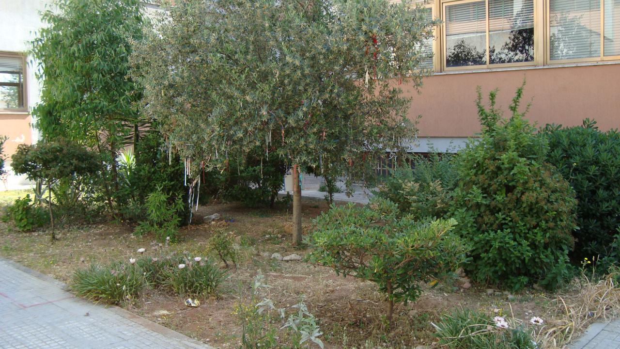'Immigrazione e diritti dei Minori', un incontro alla Scuola Media di Noha 'Immigrazione e diritti dei Minori', un incontro alla Scuola Media di Noha