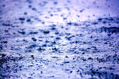 Gennaio è stato 'caldo' e piovoso Gennaio è stato 'caldo' e piovoso