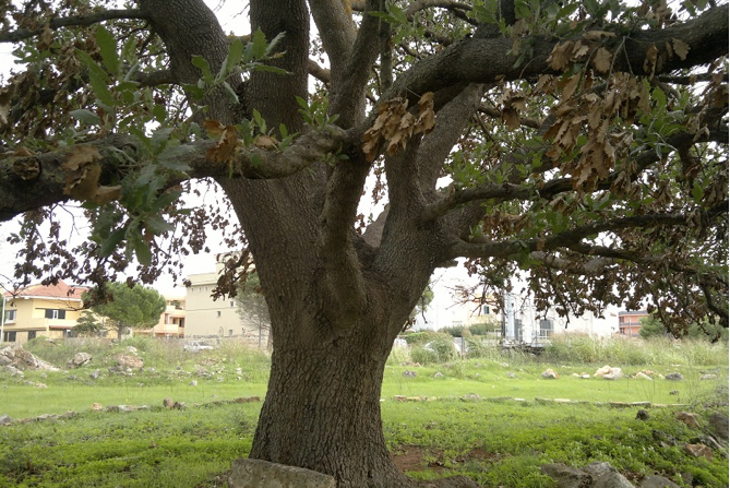 Circonvallazione sud-ovest di Galatina. Dopo l'incontro con Gabellone eliminate le criticità Circonvallazione sud-ovest di Galatina. Dopo l'incontro con Gabellone eliminate le criticità