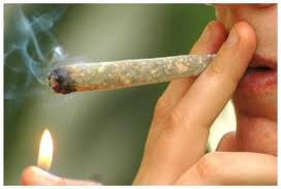 È la cannabis, dopo l'alcol, la sostanza più diffusa in Italia e in Europa