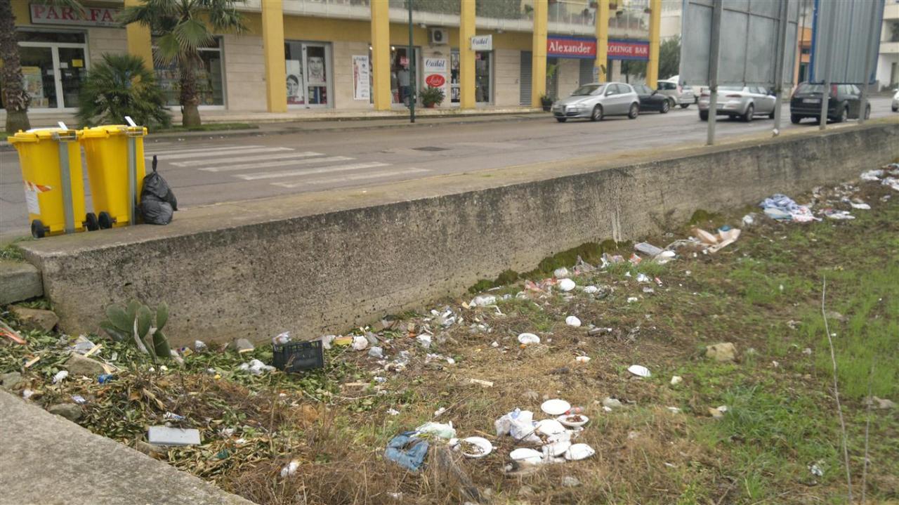 I cassonetti discarica e i rovi di via Caduti di Nassiriya
