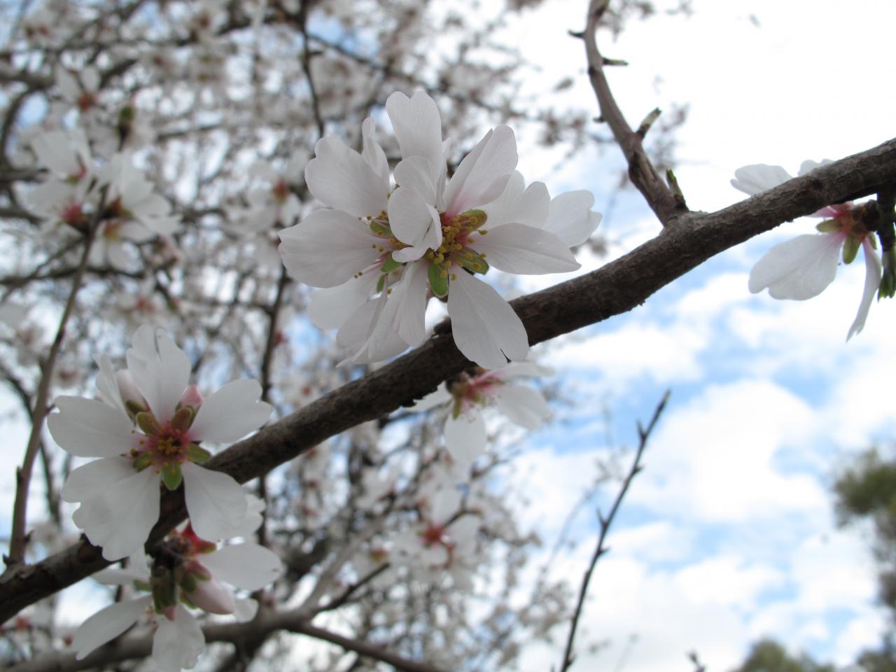 Io non m'aspettavo tanto