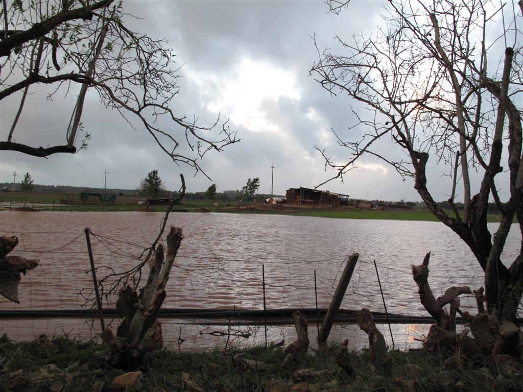 Con febbraio finisce un anomalo inverno