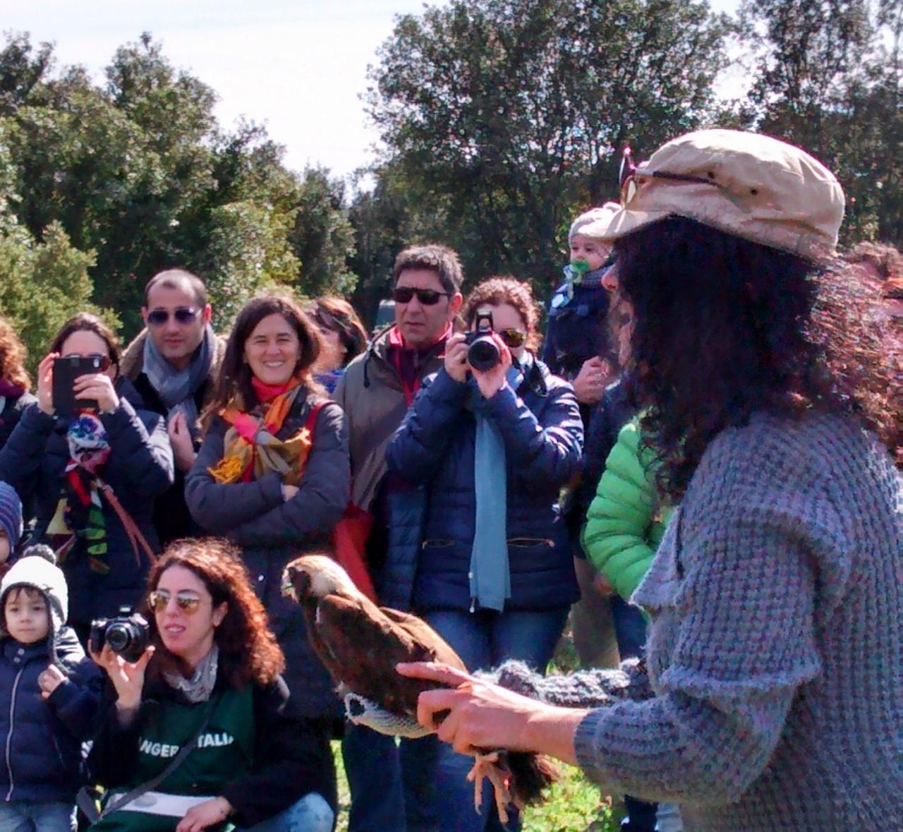 &quot;Liberiamoci in volo&quot;, i rapaci curati dal Museo di Calimera