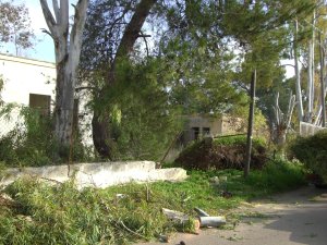 Quella mia amica del Villaggio Azzurro