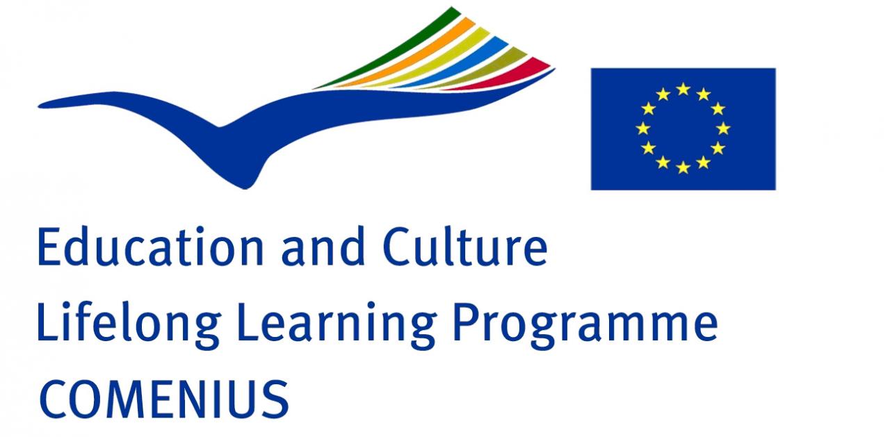 Undici alunni del Polo 3 di Galatina in Spagna con il progetto Comenius