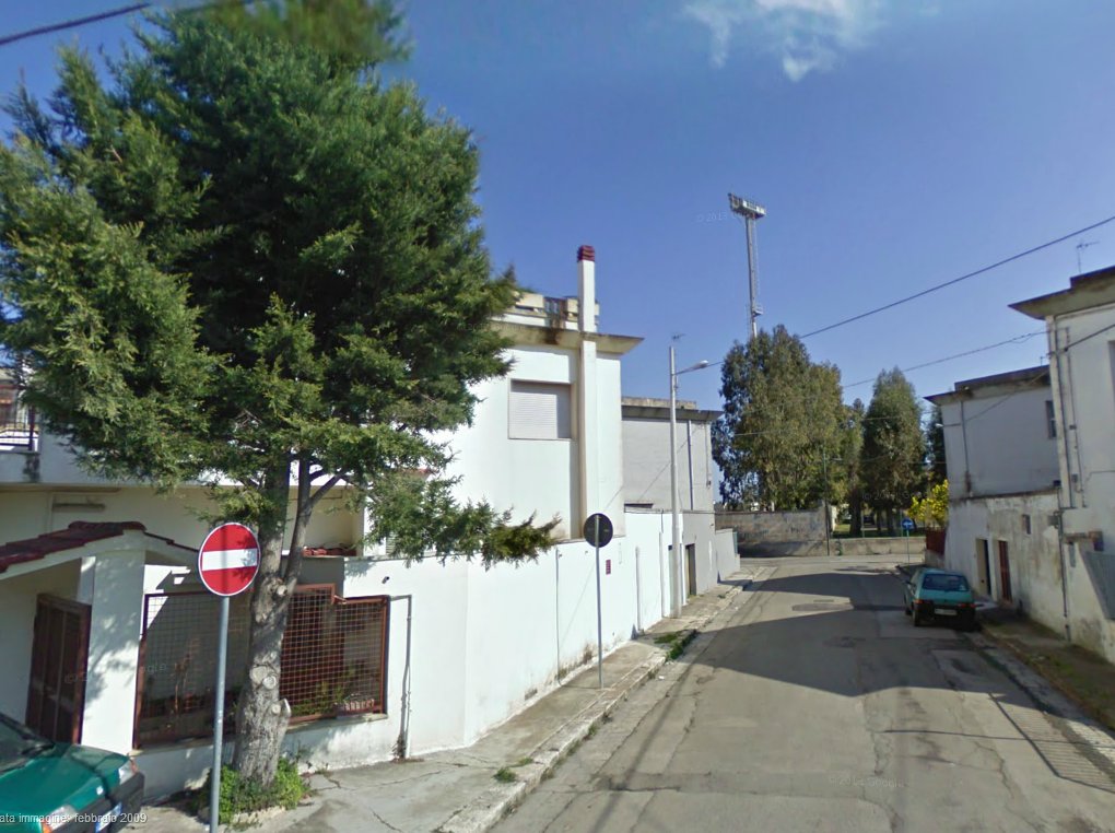 "Alberi sui marciapiedi, riparare agli errori del passato' "Alberi sui marciapiedi, riparare agli errori del passato'