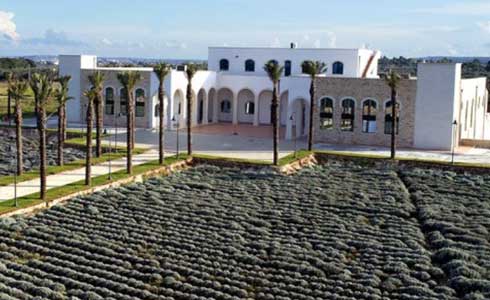 'Il Giardino Mediterraneo' fa tappa a Specchia