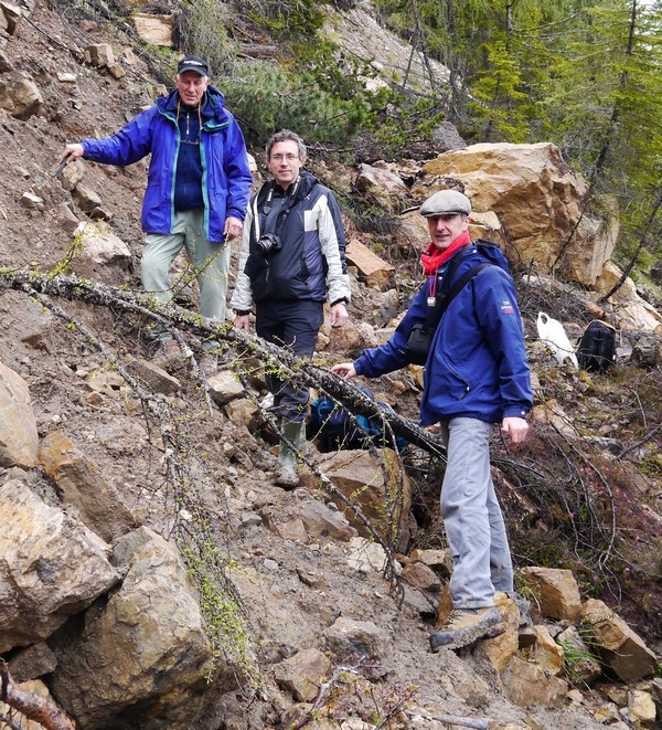 Ecco come mangiano gli acari