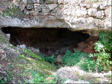 &quot;Le Veneri sono tornate nel Salento&quot;