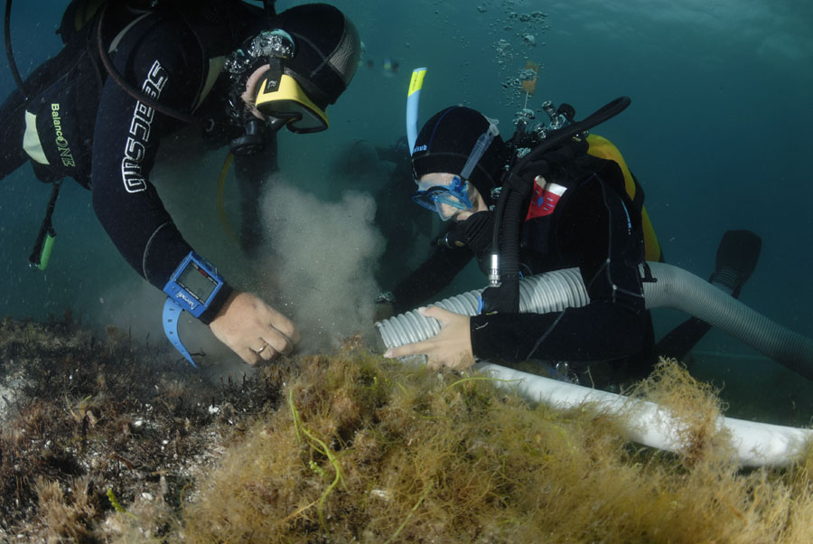 'Un futuro per il passato', l'archeologia subacquea e l'archeobotanica nel Salento