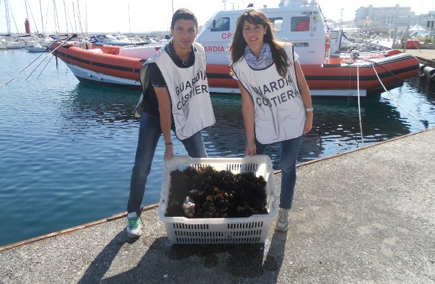 700 ricci costano ad un pescatore 4000 euro di multa 700 ricci costano ad un pescatore 4000 euro di multa