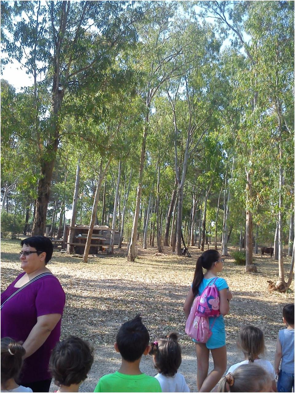 L'Ape maya 'vola' sul canale dell'Asso, una nuova esperienza per i bambini L'Ape maya 'vola' sul canale dell'Asso, una nuova esperienza per i bambini