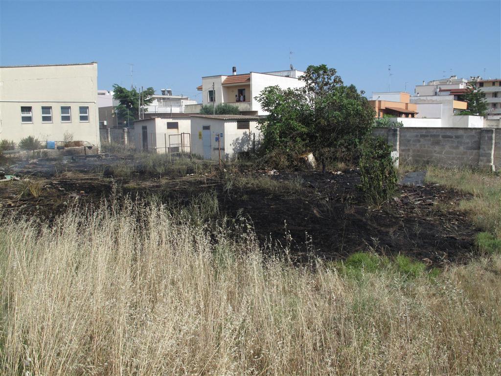 Fiamme all'Ipsia, gravi responsabilità della Provincia