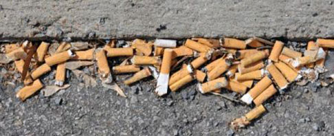 &quot;Deiezioni dei cani e cicche infestano la città&quot;