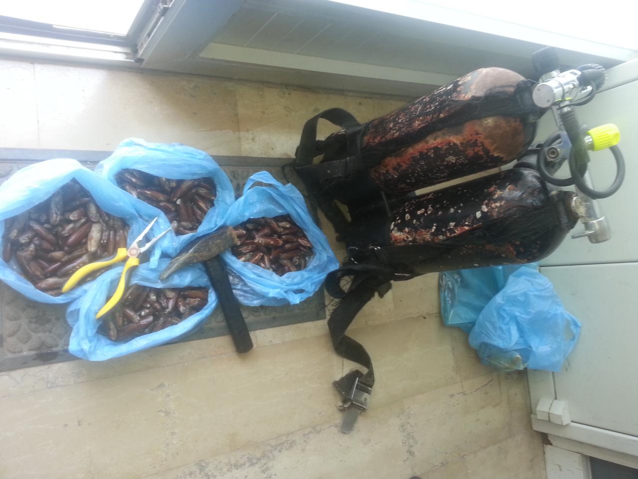 Arrestati due sub raccoglitori abituali di 'datteri di mare'