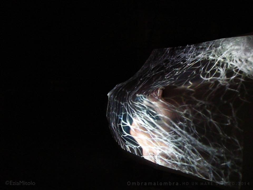 'Luce' a Palazzo Mongiò dell'elefante