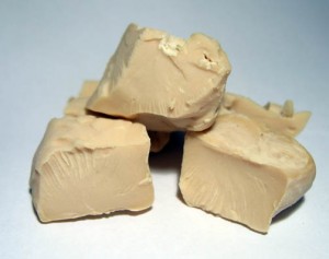 Il tumore 'unisce' lievito e uomo