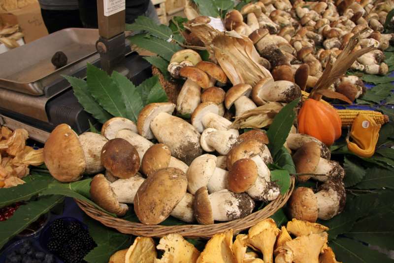 Fissati i luoghi dove si possono vendere i funghi