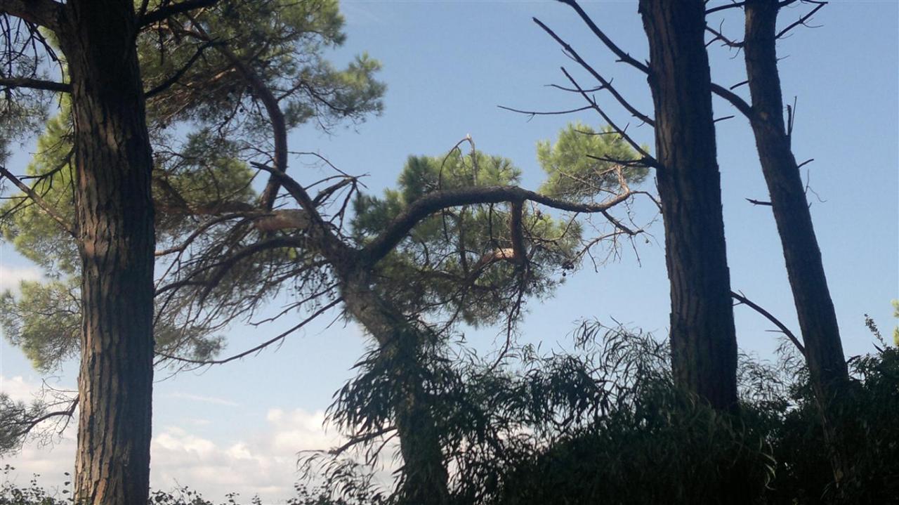 Il Club Alpino Italiano ad Andrano per insegnare a rilevare i sentieri del parco Otranto Tricase Santa Maria di Leuca Il Club Alpino Italiano ad Andrano per insegnare a rilevare i sentieri del parco Otranto Tricase Santa Maria di Leuca