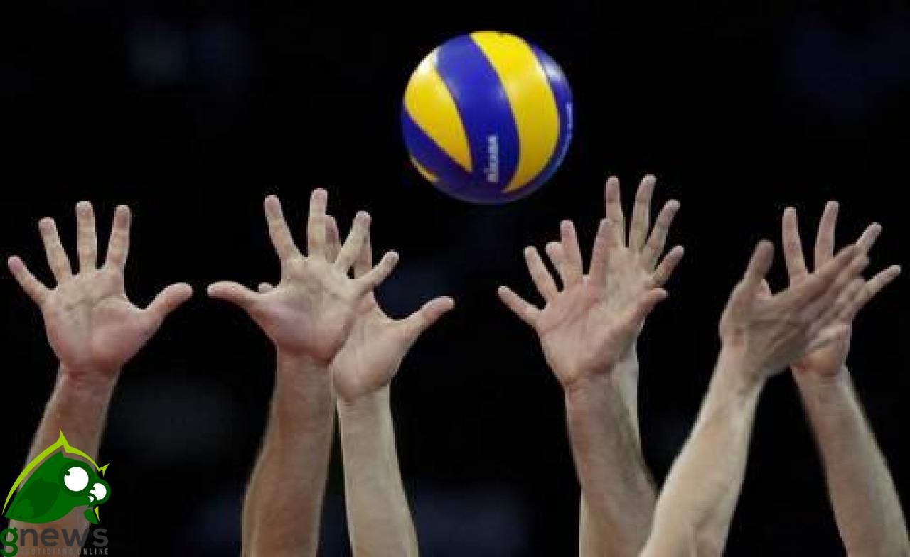 'Progetto giovani school Fernando Panico', i primi passi nella pallavolo con la SBV 'Progetto giovani school Fernando Panico', i primi passi nella pallavolo con la SBV