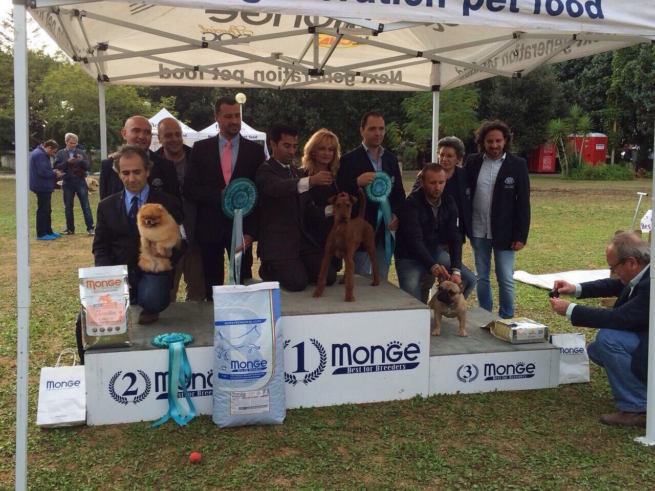 I cinofili salentini si fanno onore all'Hermitage