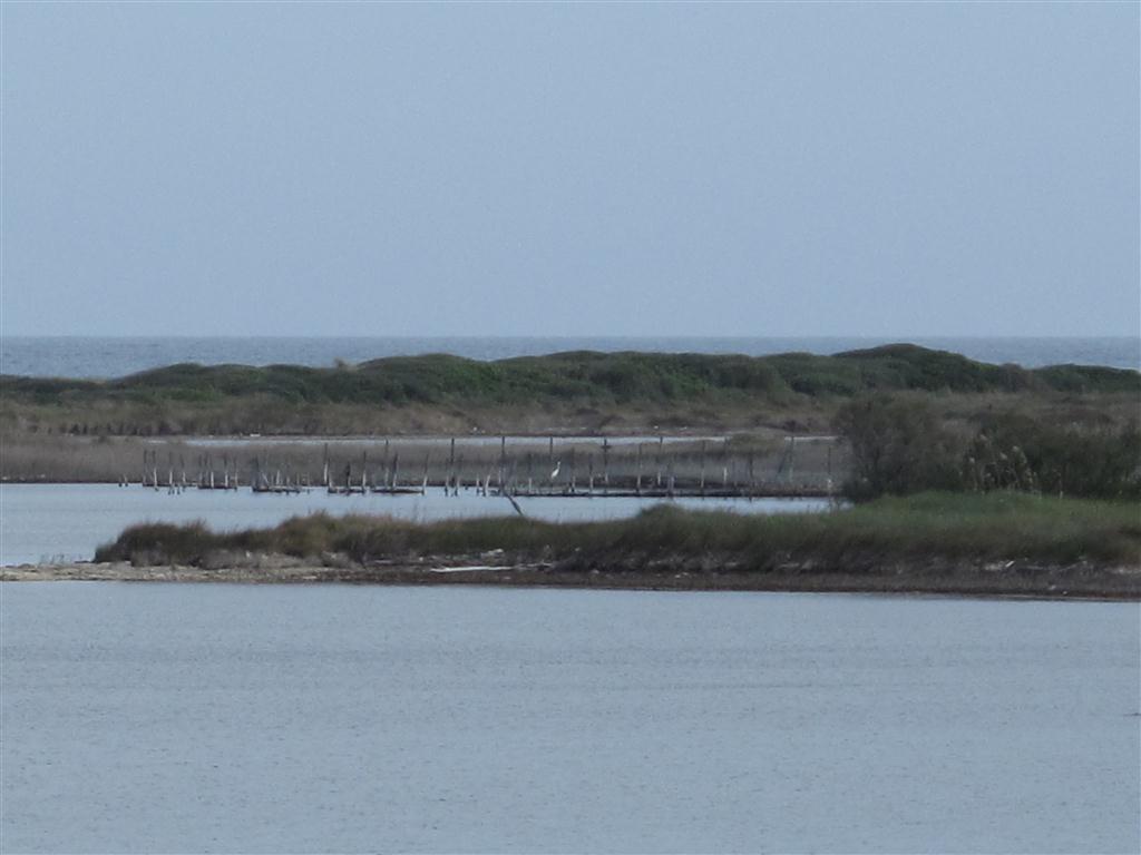 La geotermia alle Cesine