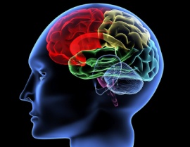 Scoperta la causa del parkinson giovanile Scoperta la causa del parkinson giovanile