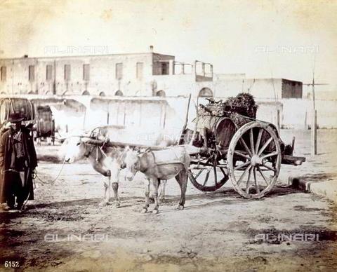 La grande sete di Galatina nel 1927