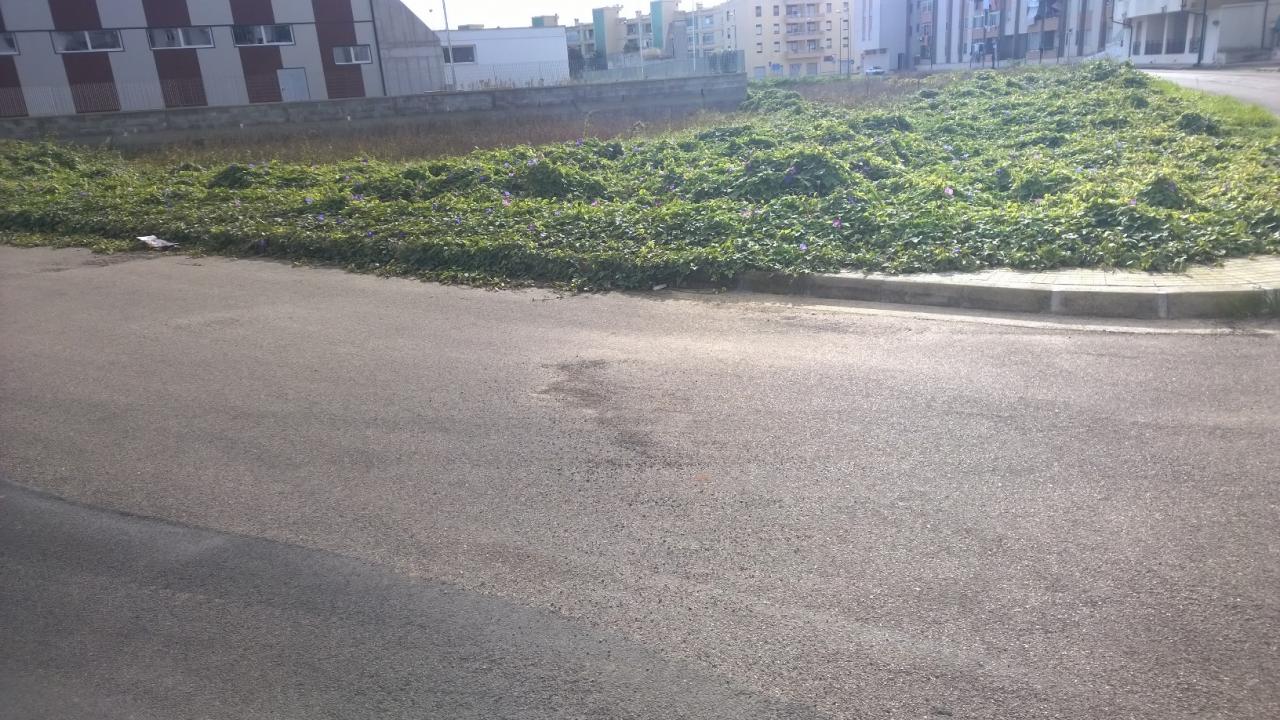 Degrado ed abbandono in via Montinari